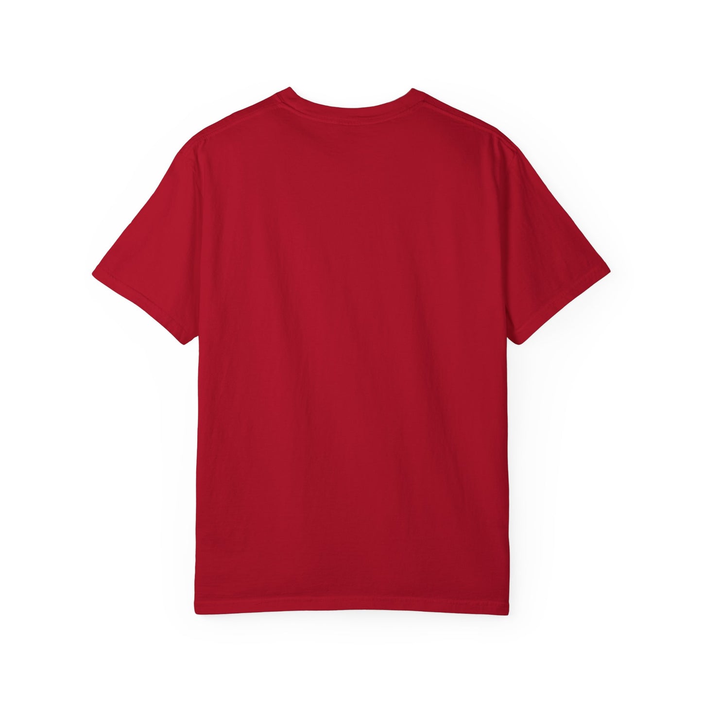 iRUNPHILLY Unisex Garment-Dyed T-shirt
