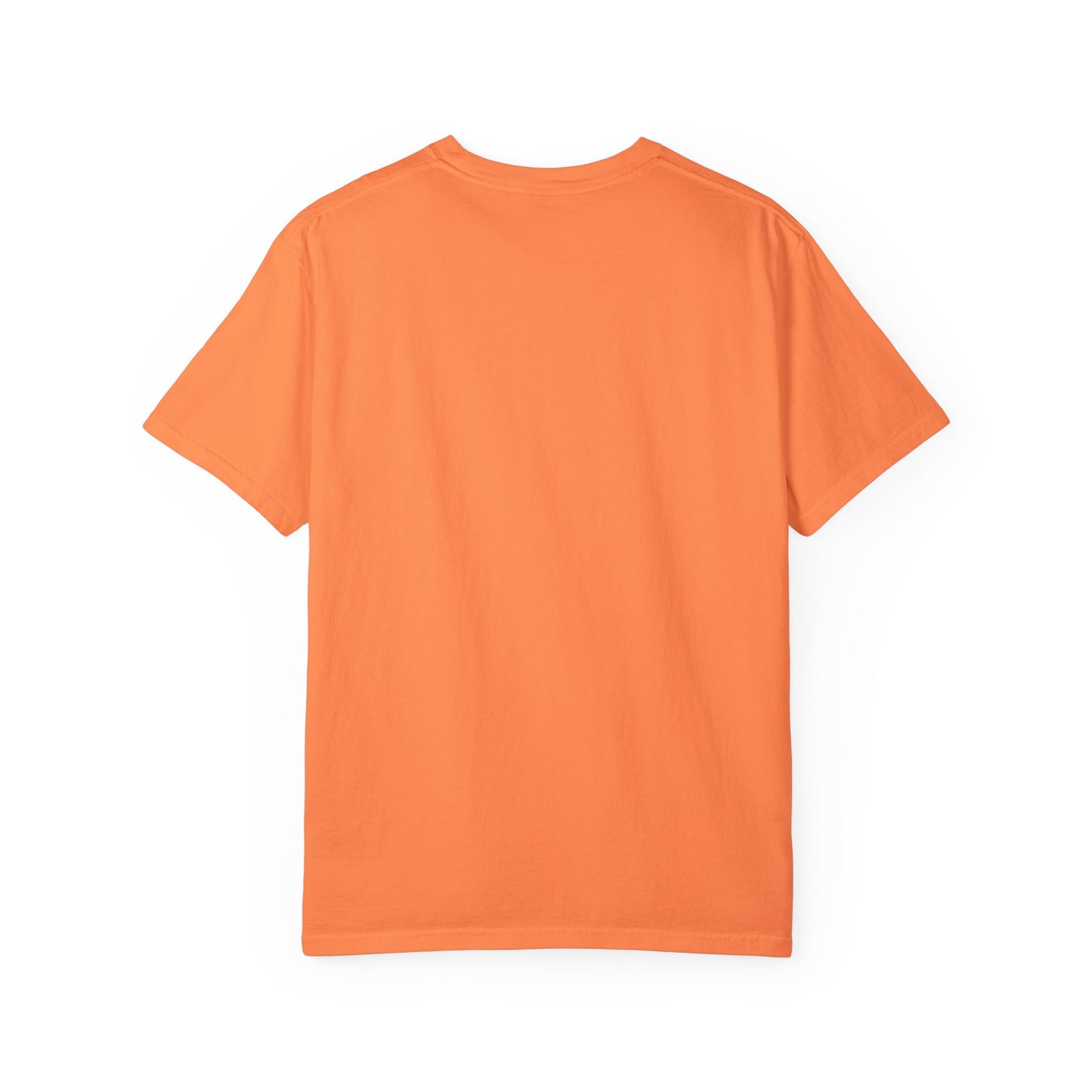 iRUNPHILLY Unisex Garment-Dyed T-shirt