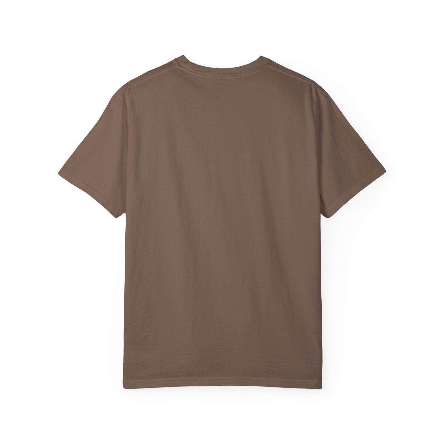 iRUNPHILLY Unisex Garment-Dyed T-shirt