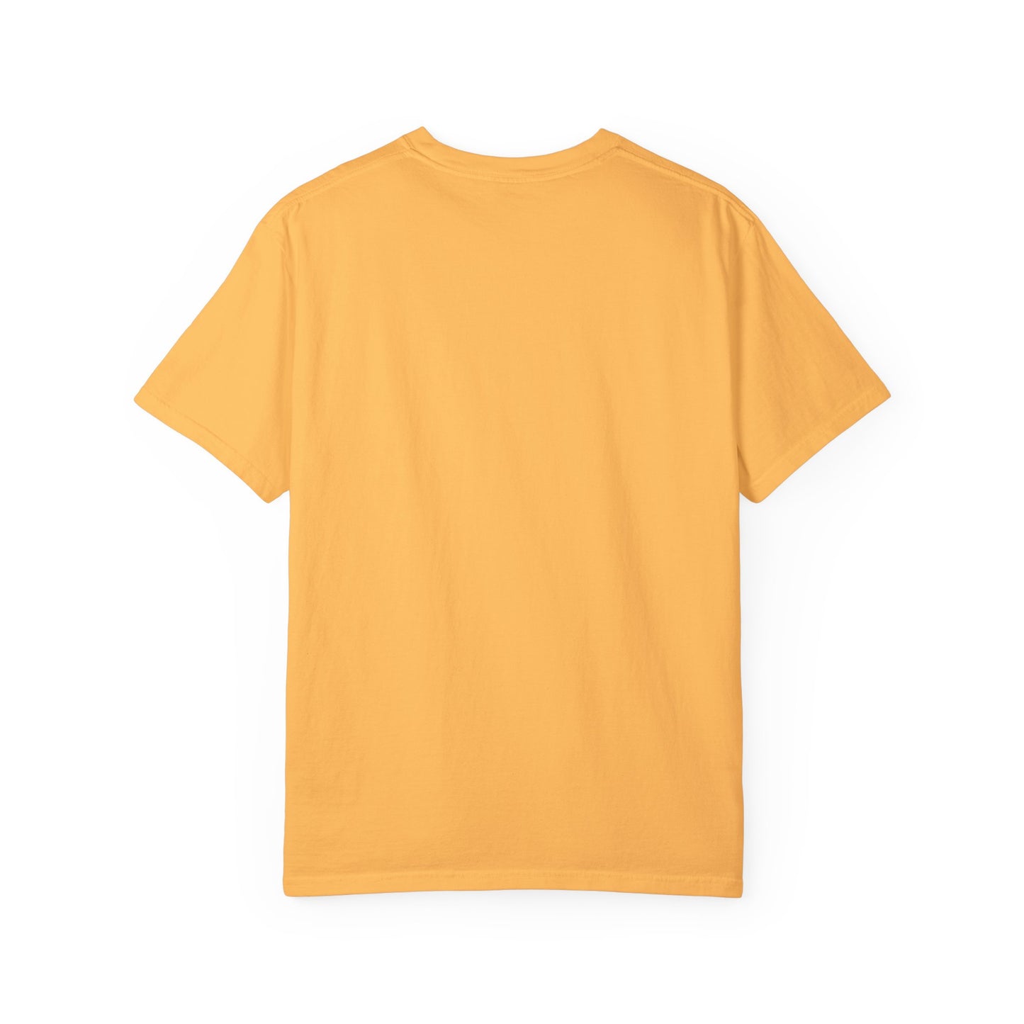 iRUNPHILLY Unisex Garment-Dyed T-shirt