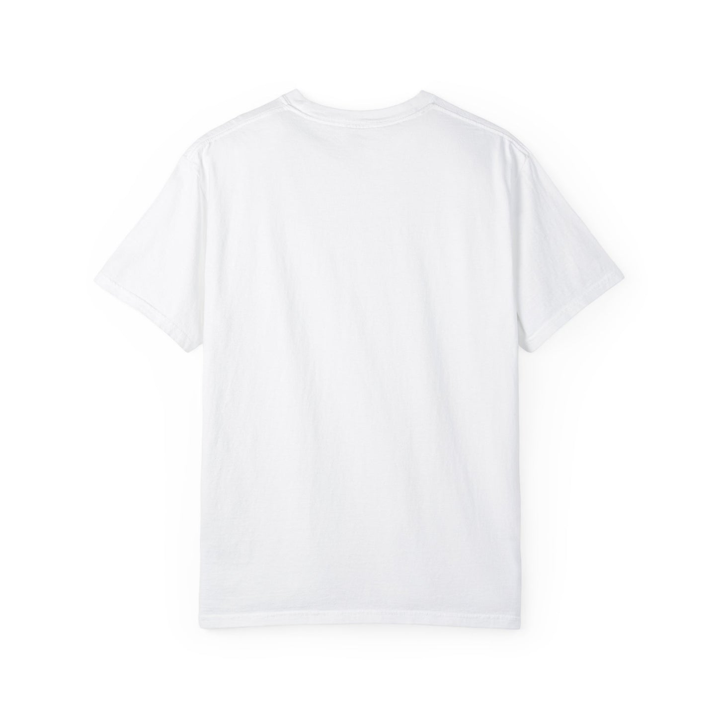 iRUNPHILLY Unisex Garment-Dyed T-shirt
